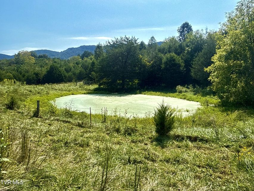 Photo #71: 2114 Powell River Rd 