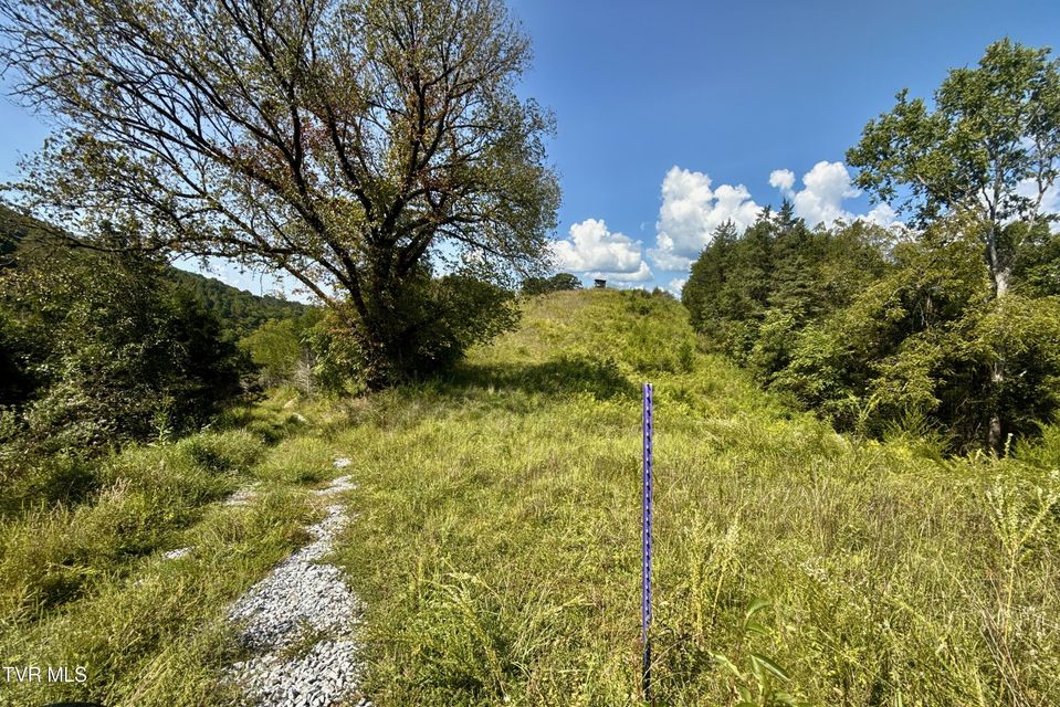 Photo #73: 2114 Powell River Rd 