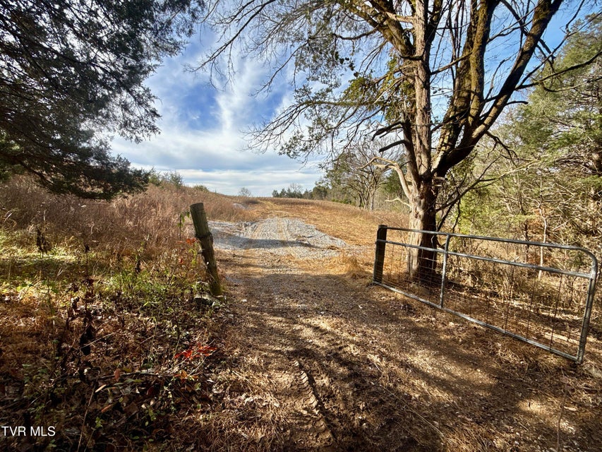 Photo #75: 2114 Powell River Rd 