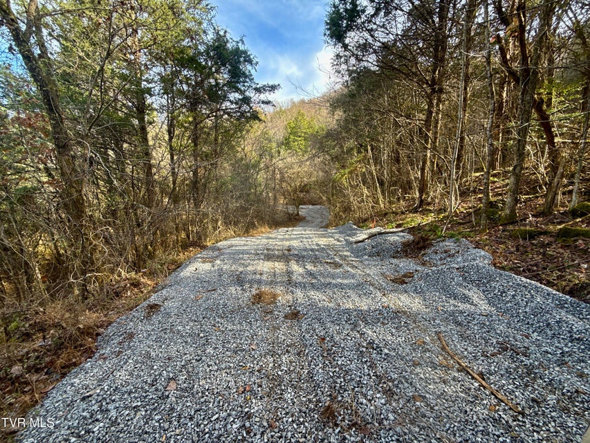 Photo #76: 2114 Powell River Rd 