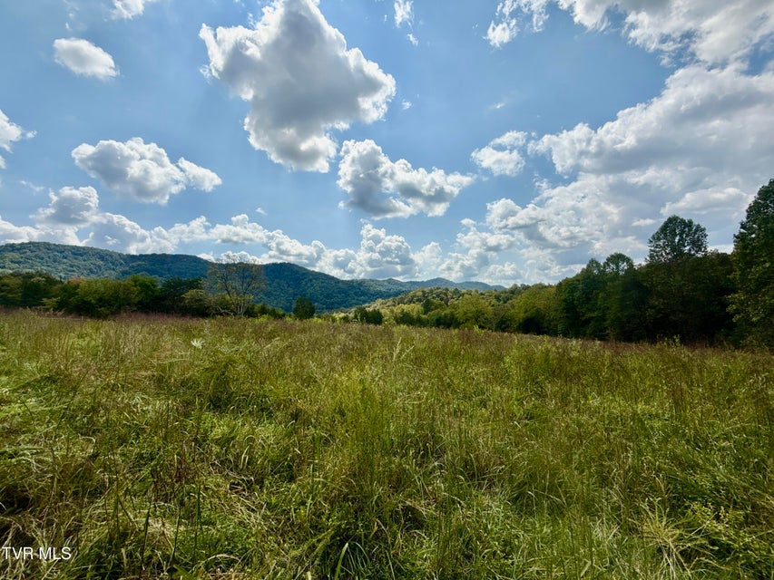 Photo #79: 2114 Powell River Rd 