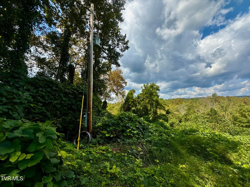 Photo #81: 2114 Powell River Rd 