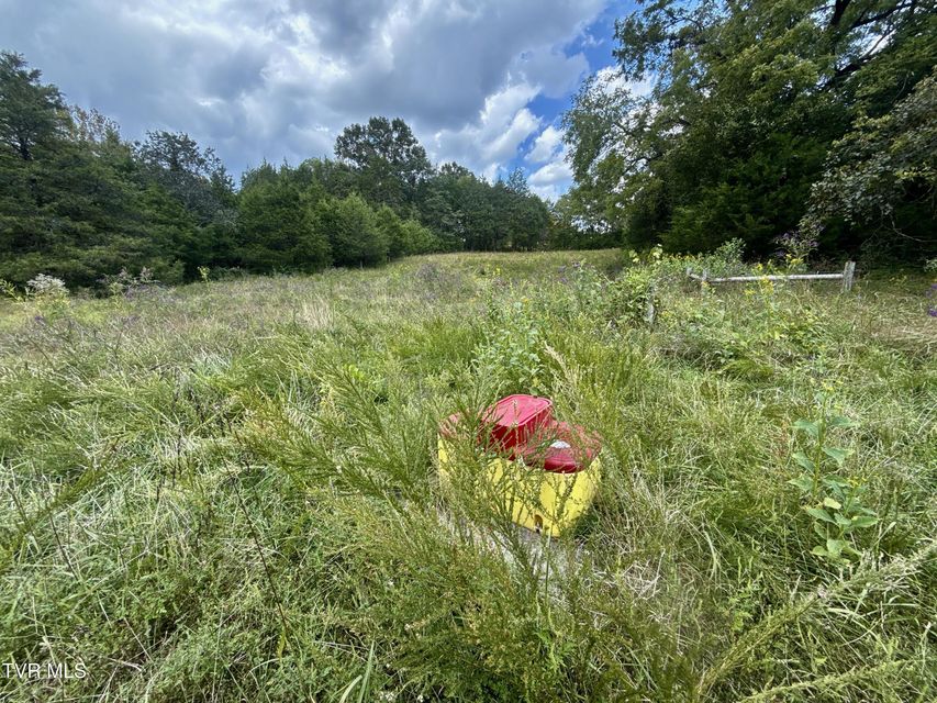 Photo #86: 2114 Powell River Rd 