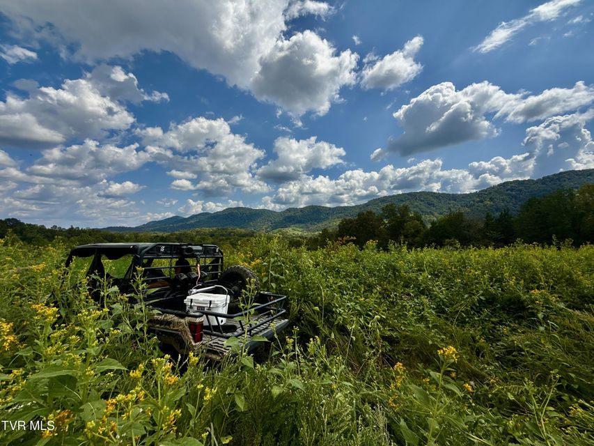 Photo #87: 2114 Powell River Rd 