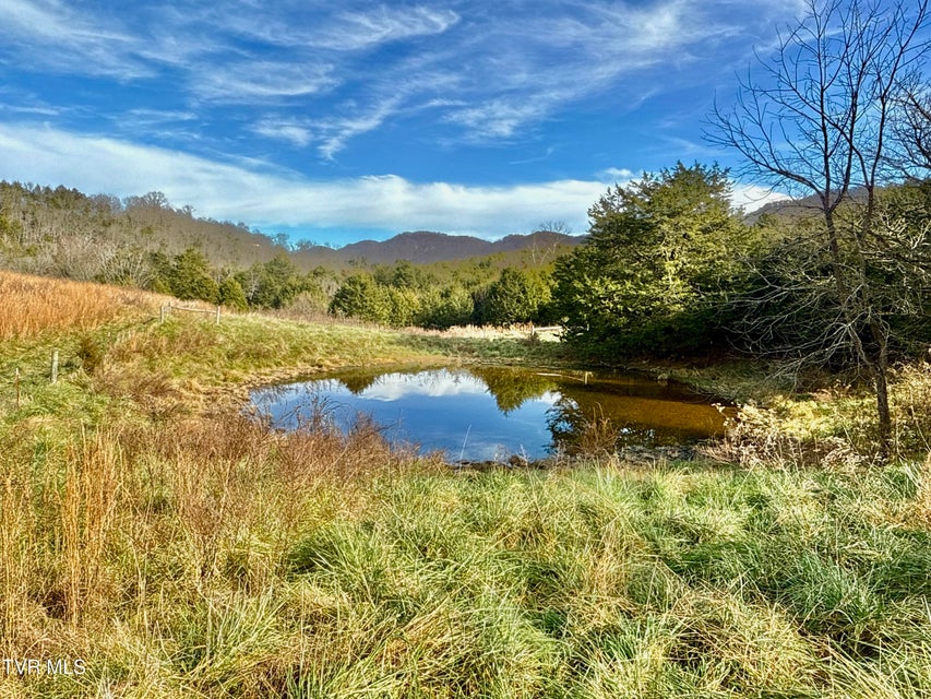 Photo #88: 2114 Powell River Rd 