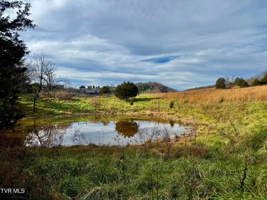 Photo #89: 2114 Powell River Rd 