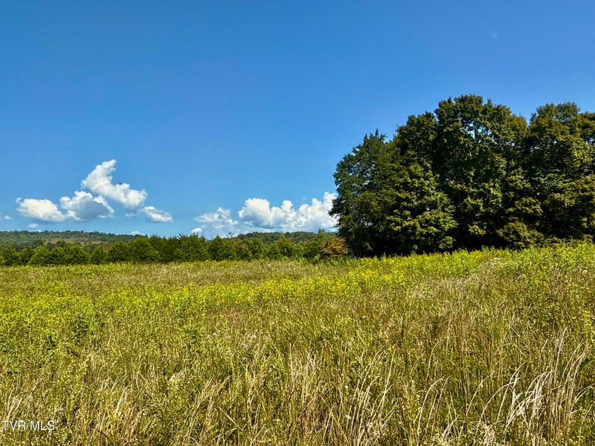 Photo #90: 2114 Powell River Rd 