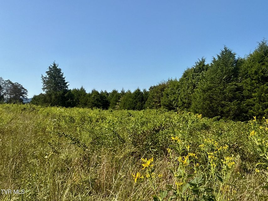 Photo #91: 2114 Powell River Rd 