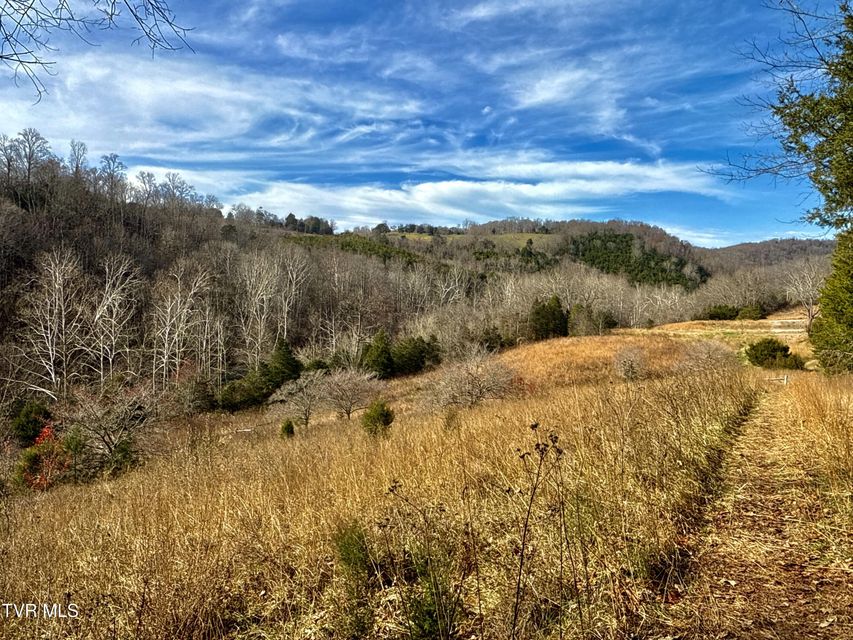 Photo #94: 2114 Powell River Rd 