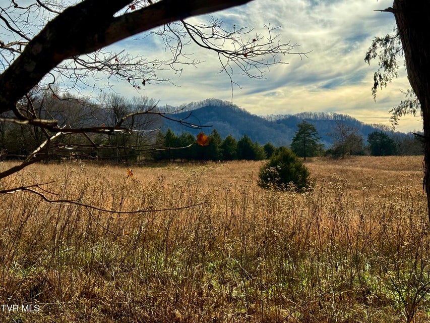 Photo #95: 2114 Powell River Rd 