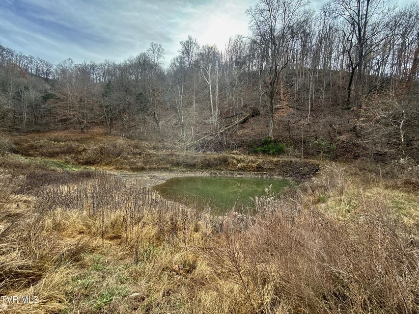 Photo #96: 2114 Powell River Rd 