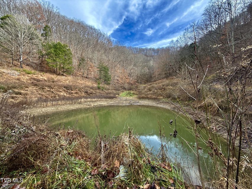 Photo #97: 2114 Powell River Rd 