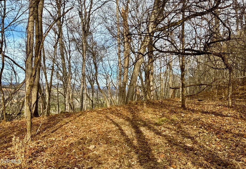 Photo #98: 2114 Powell River Rd 