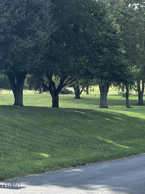 Photo #21: 45 Bonnie Johnson Lane