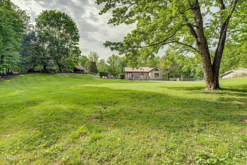 Photo #95: 155 Horseshoe Drive