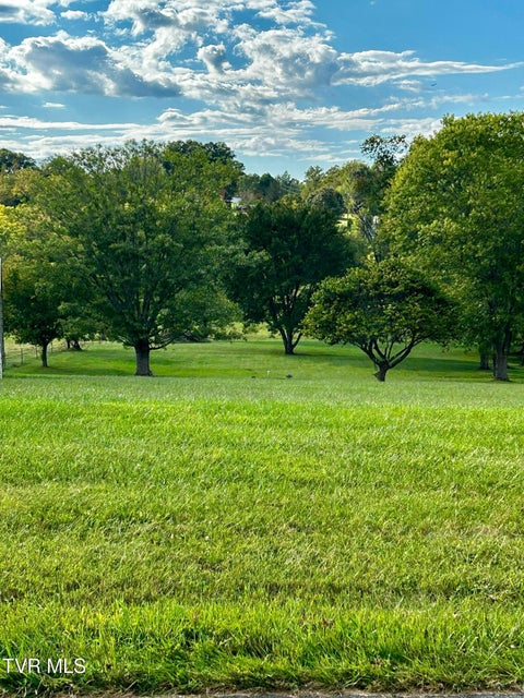 Photo #4: Lot 1 Bonnie Johnson Lane