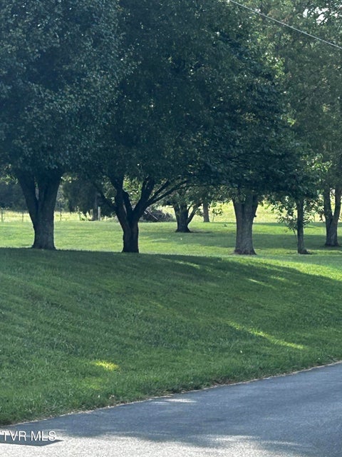 Photo #16: Lot 1 Bonnie Johnson Lane