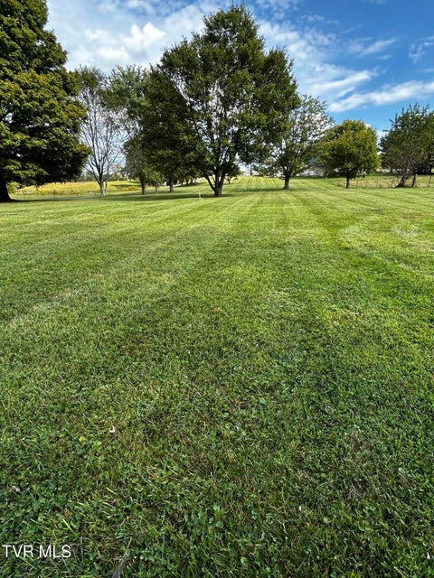 Photo #11: Lot 1 Bonnie Johnson Lane