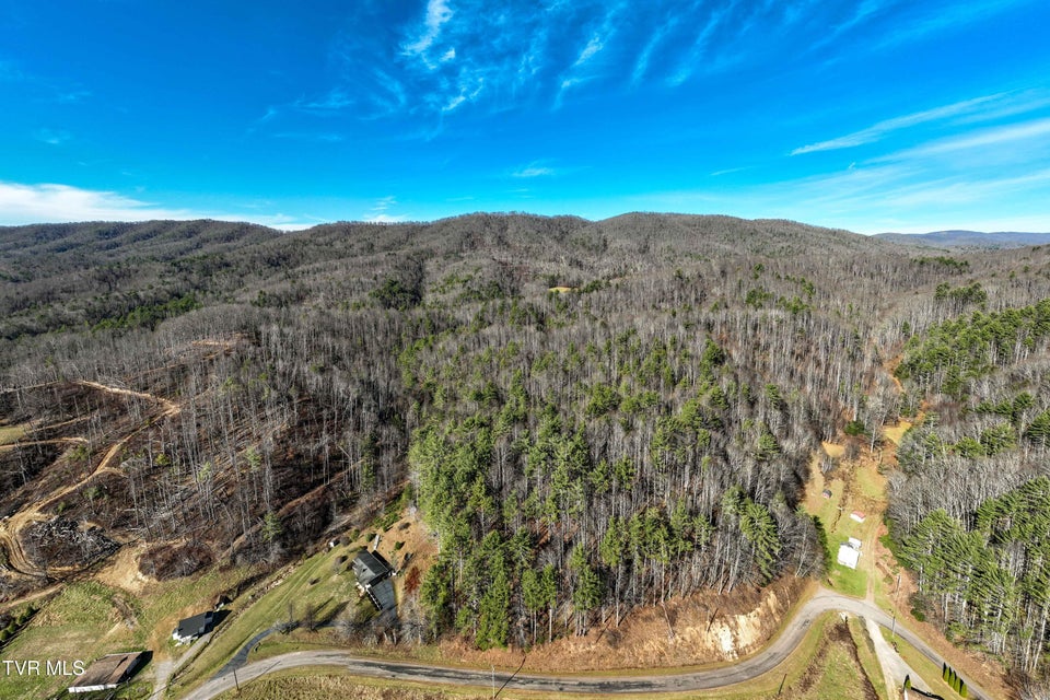 Photo #3: Tbd Hubert Taylor Road