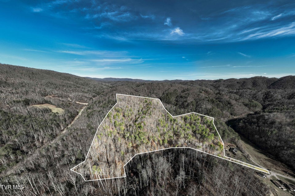 Photo #6: Tbd Hubert Taylor Road