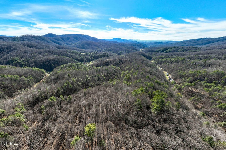 Photo #11: Tbd Hubert Taylor Road