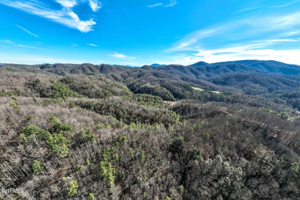 Photo #12: Tbd Hubert Taylor Road