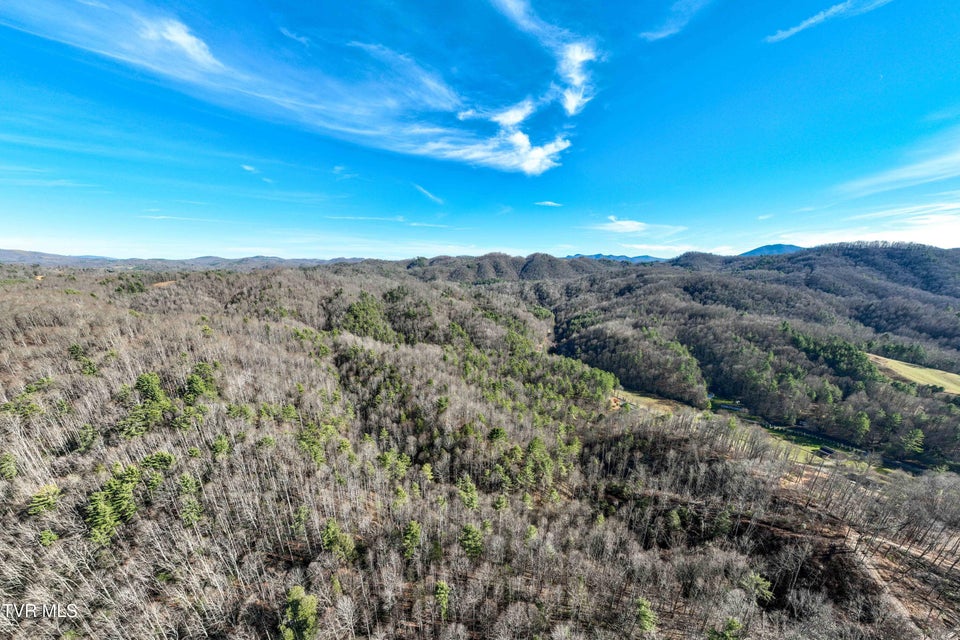 Photo #13: Tbd Hubert Taylor Road