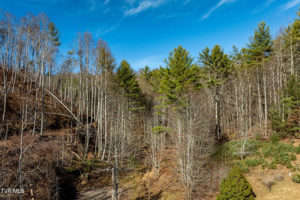 Photo #17: Tbd Hubert Taylor Road