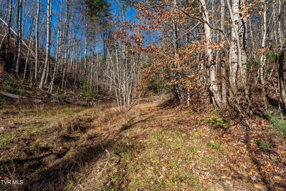 Photo #24: Tbd Hubert Taylor Road