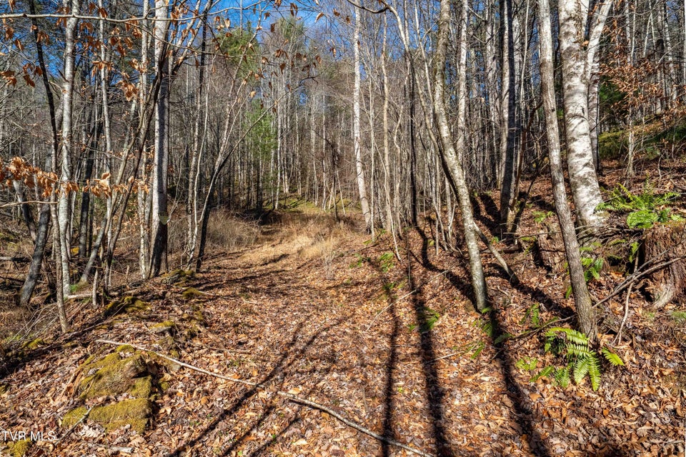 Photo #25: Tbd Hubert Taylor Road