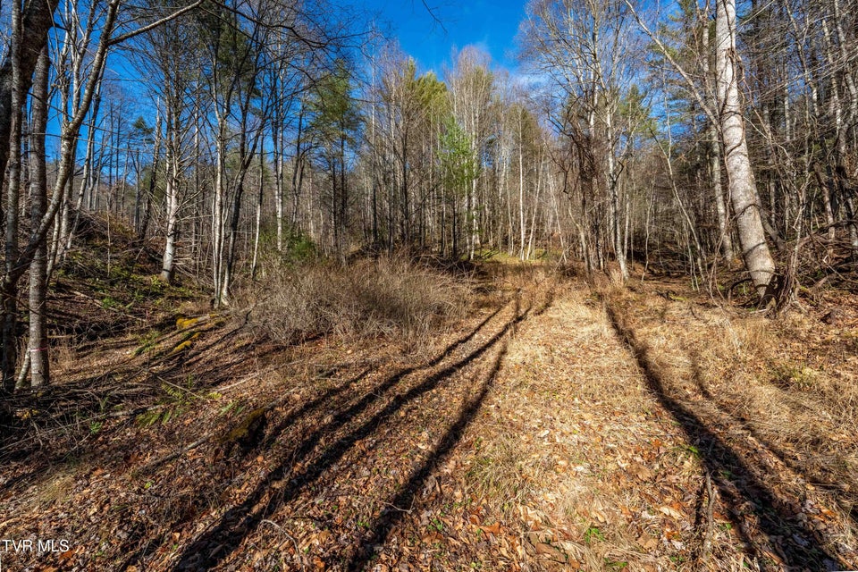 Photo #26: Tbd Hubert Taylor Road