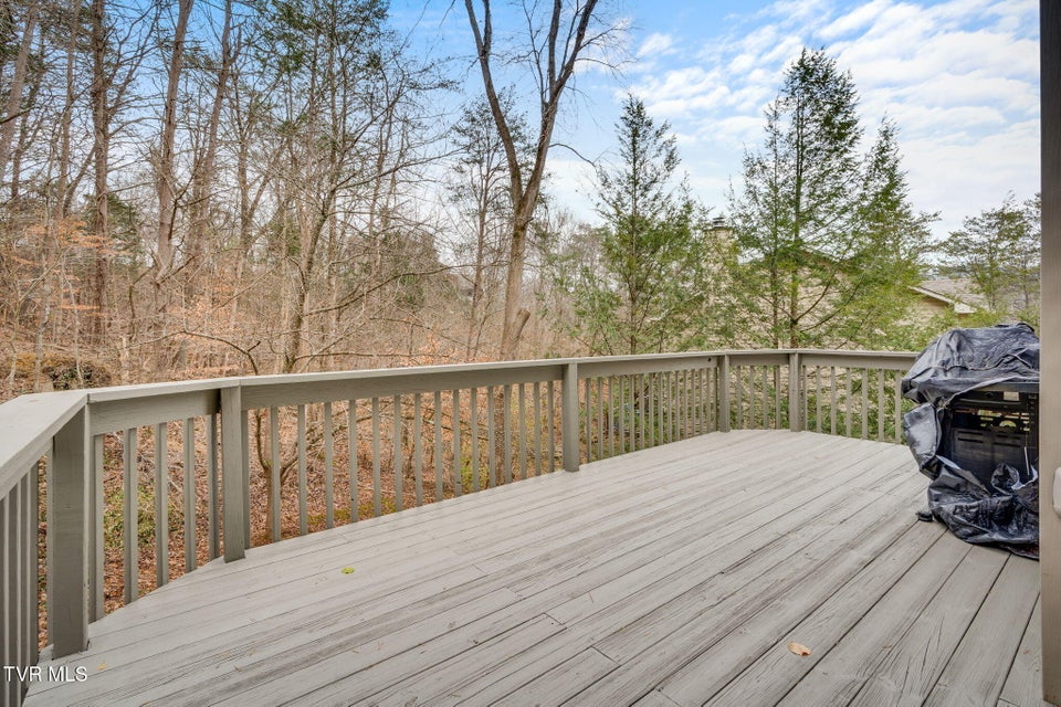 Photo #36: 171 Aston Court