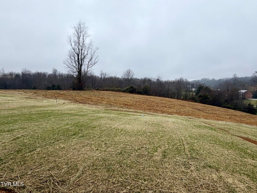 Photo #17: 234 Ruby Rose Ridge