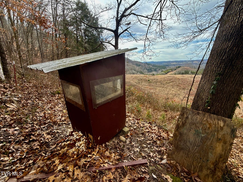 Photo #5: 2114 Powell River Rd 