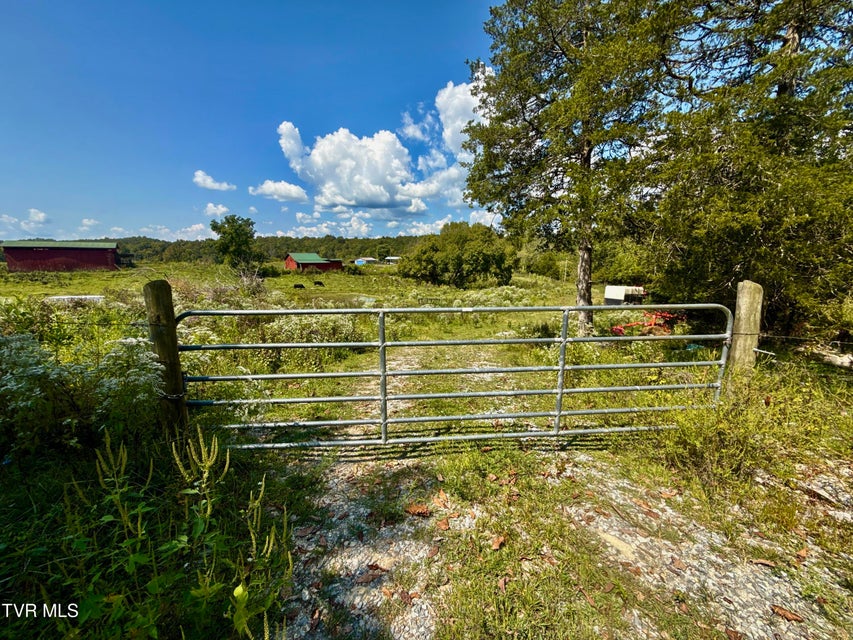 Photo #72: 2114 Powell River Rd 