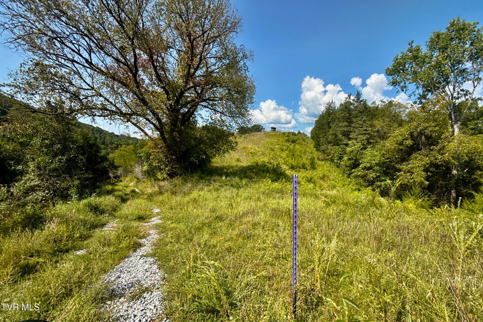 Photo #73: 2114 Powell River Rd 