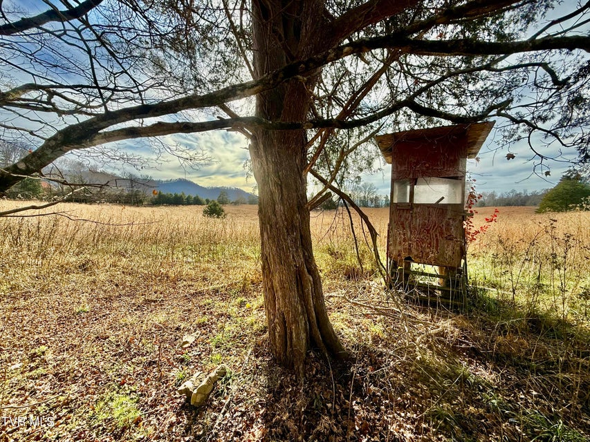 Photo #74: 2114 Powell River Rd 