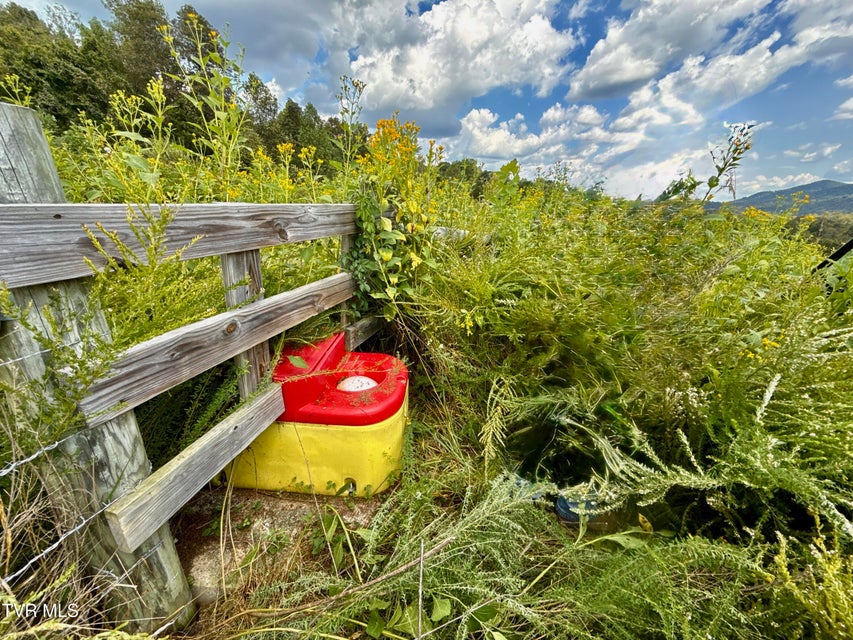 Photo #83: 2114 Powell River Rd 