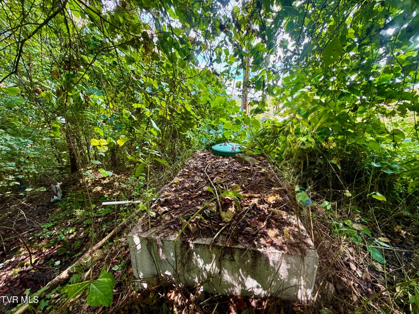 Photo #85: 2114 Powell River Rd 