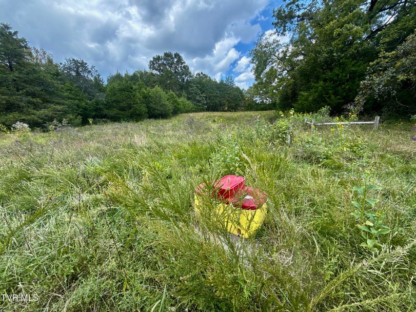 Photo #86: 2114 Powell River Rd 