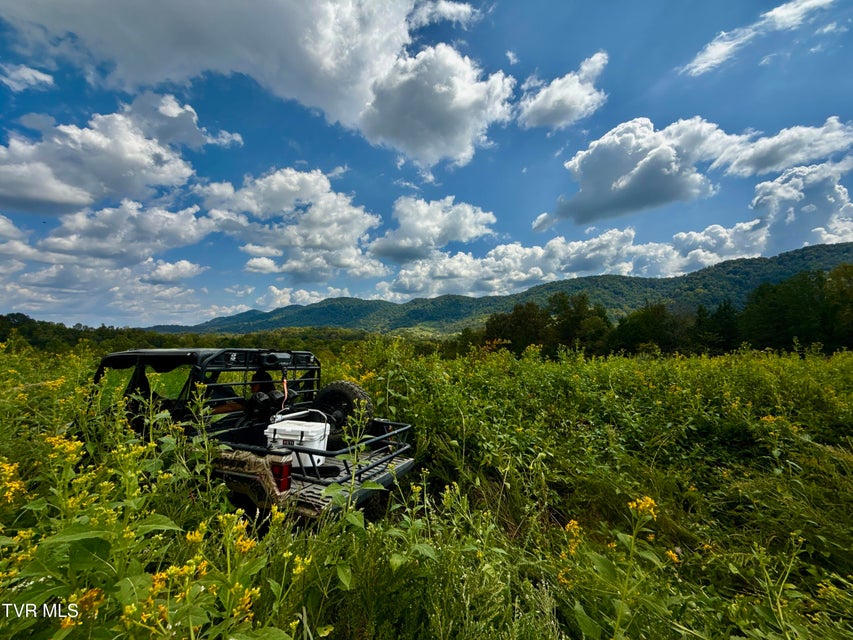 Photo #87: 2114 Powell River Rd 