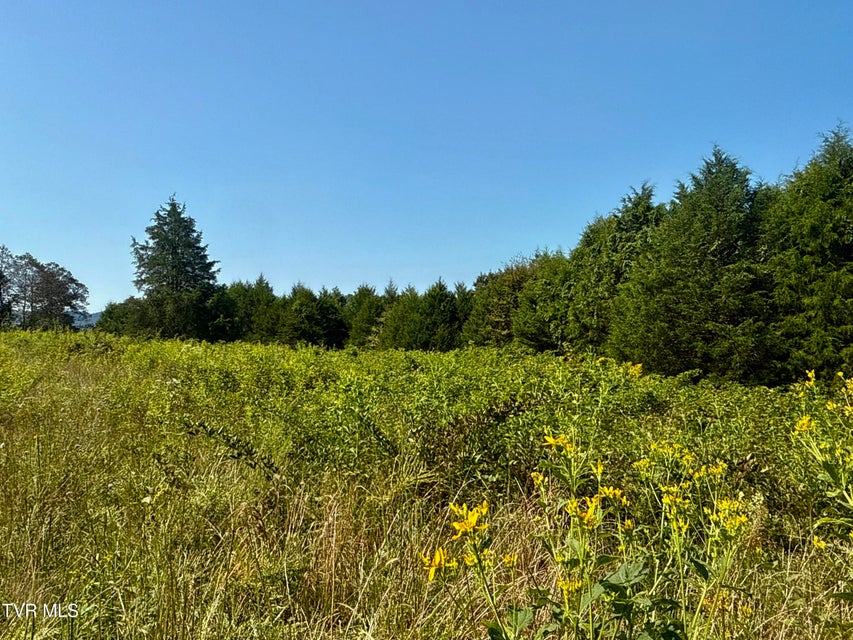 Photo #91: 2114 Powell River Rd 