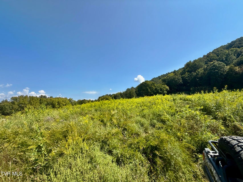 Photo #92: 2114 Powell River Rd 