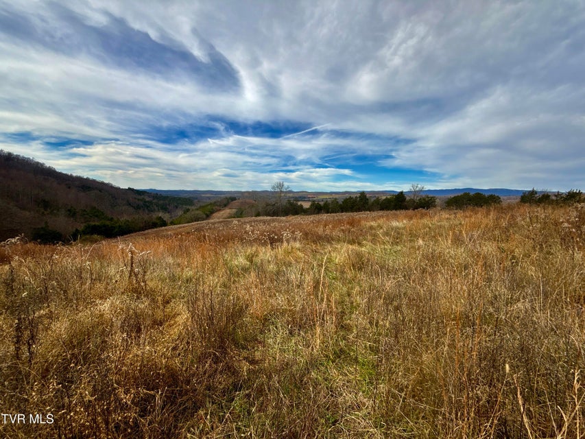 Photo #93: 2114 Powell River Rd 