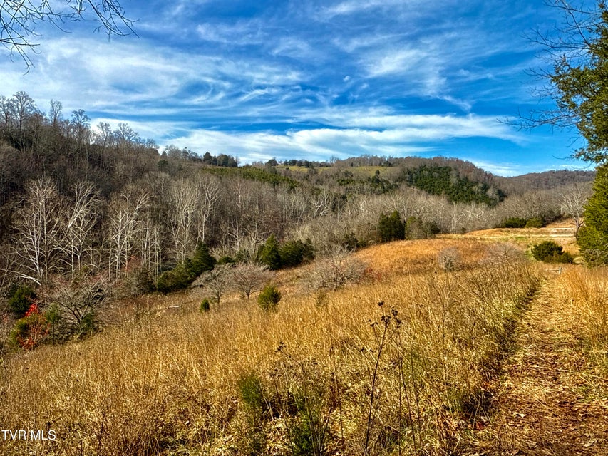 Photo #94: 2114 Powell River Rd 