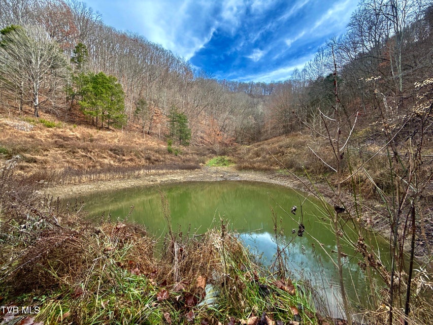 Photo #97: 2114 Powell River Rd 