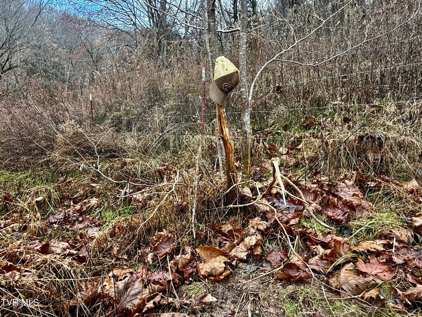 Photo #99: 2114 Powell River Rd 