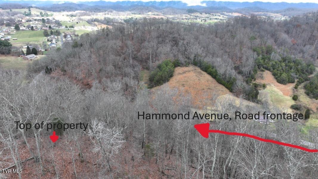 Photo #4: Tbd Lloyd's Chapel Road 