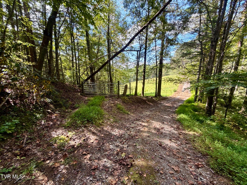 Photo #3: 34/Ac Tbd Off Big Creek Road