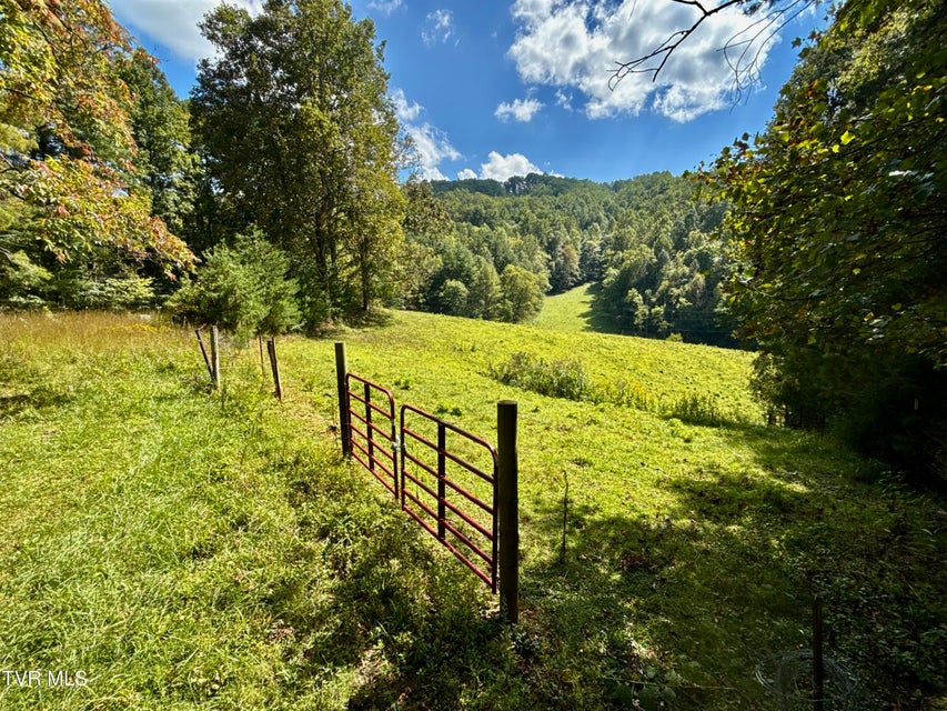 Photo #4: 34/Ac Tbd Off Big Creek Road